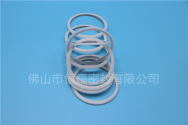 HVF、HVG端面内、外向泛塞封 (15)