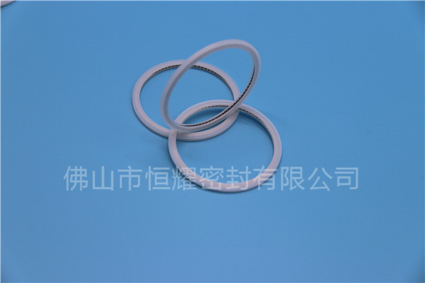 HVF、HVG端面内、外向泛塞封 (21)