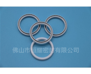 HOA、HVA轴用泛塞封 (13)