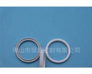 HOA、HVA轴用泛塞封 (16)