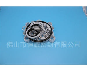 HOB、HVB孔用泛塞封 (6)