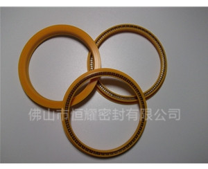 HOD、HVD旋转泛塞封 (8)