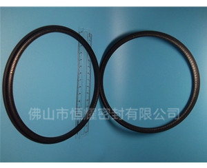 HOD、HVD旋转泛塞封 (13)