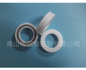 HOC、HVC孔轴两用泛塞封 (2)
