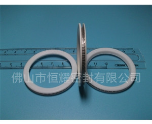 HVF、HVG端面内、外向泛塞封 (10)