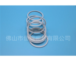 HVF、HVG端面内、外向泛塞封 (15)