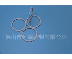 HVF、HVG端面内、外向泛塞封 (20)