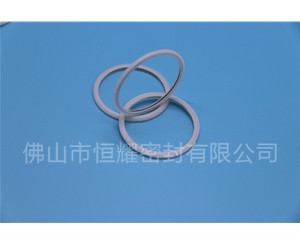 HVF、HVG端面内、外向泛塞封 (21)